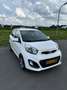 Kia Picanto 1.0 CVVT BusinessLine Blanc - thumbnail 1