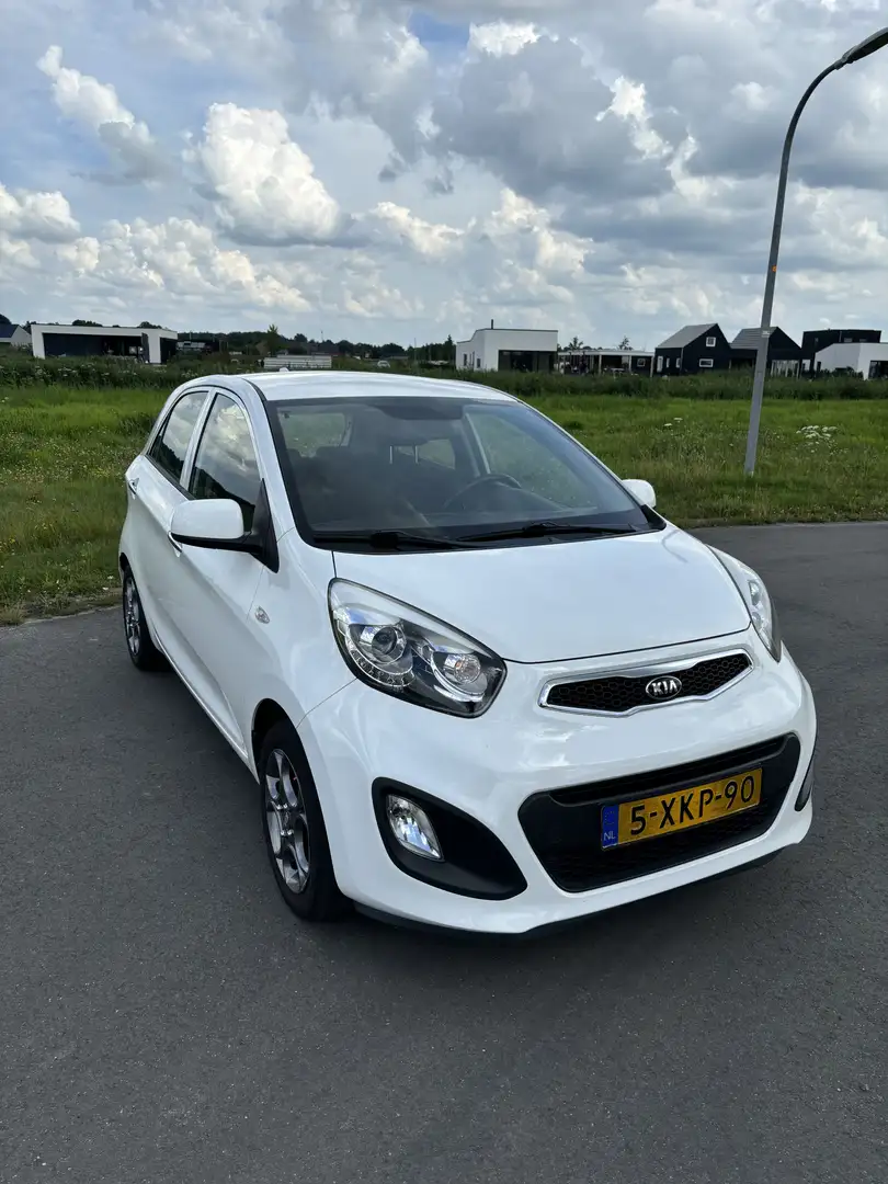 Kia Picanto 1.0 CVVT BusinessLine Blanc - 1