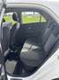 Kia Picanto 1.0 CVVT BusinessLine Blanco - thumbnail 19