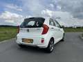 Kia Picanto 1.0 CVVT BusinessLine Blanc - thumbnail 6