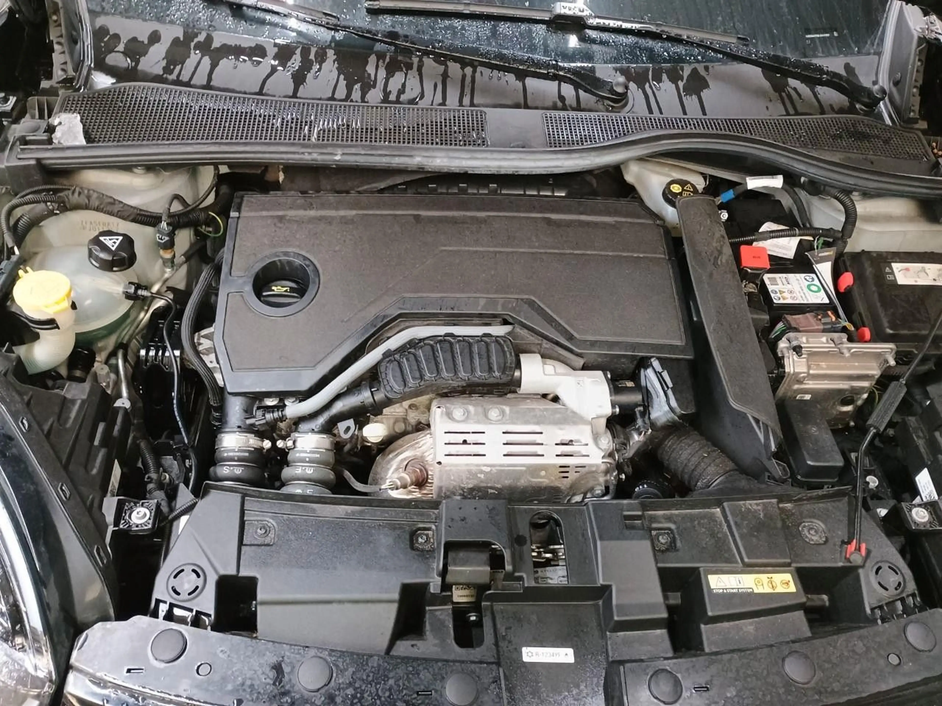 Fiat 600 1.2 Hybrid T3 — photo 11