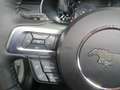 Ford Mustang Mach 1 | Recaro, Styling Paket, MagneRide Grau - thumbnail 12