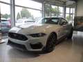 Ford Mustang Mach 1 | Recaro, Styling Paket, MagneRide Grau - thumbnail 1