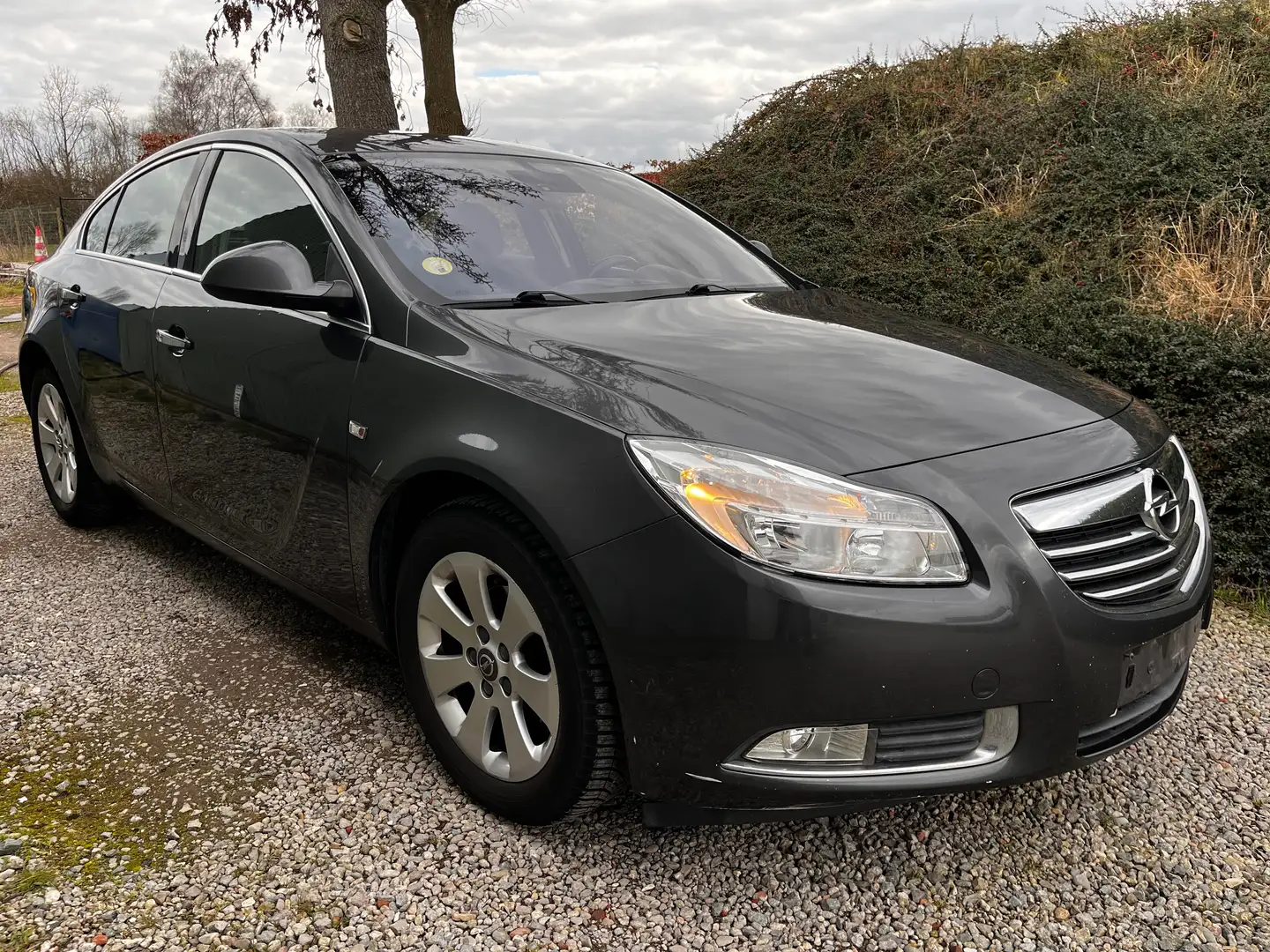 Opel Insignia 2.0 CDTi / ALU / CLIMA / TREKHAAK / CRUISE Grijs - 1