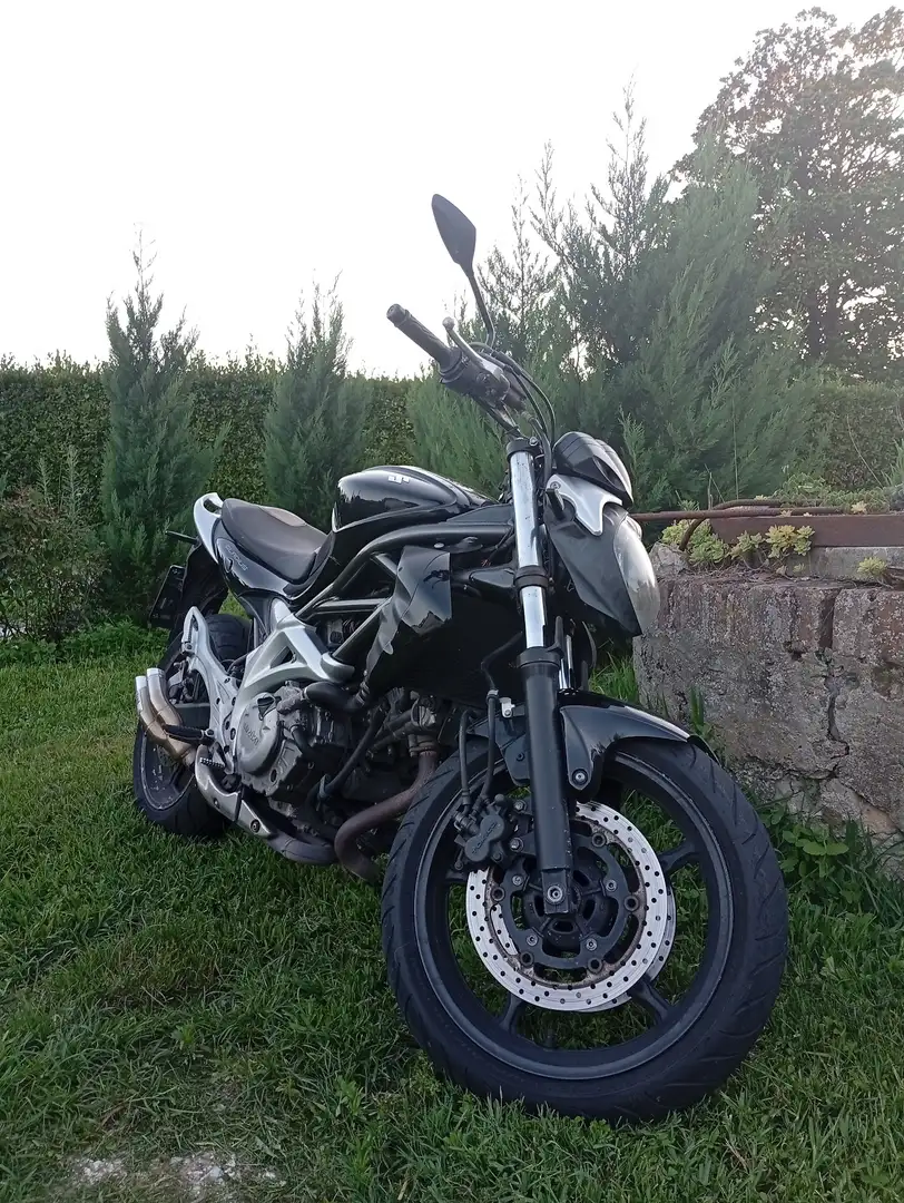Suzuki Gladius 650 Fekete - 2
