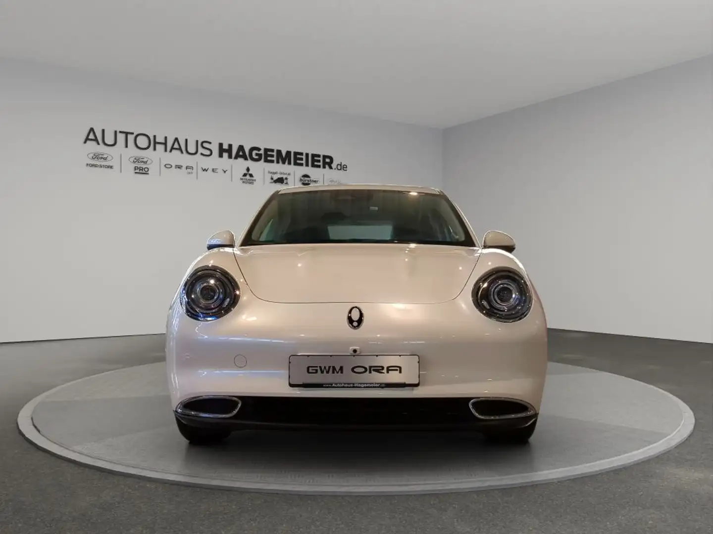 GWM ORA 03 ORA 03 300 >>ehemalige UPE: 39.680 EUR<< Blanc - 2