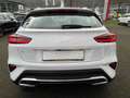 Kia XCeed Vision 1.5 T-GDI DCT7 +SHZ+NAV+LED Weiß - thumbnail 6