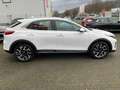 Kia XCeed Vision 1.5 T-GDI DCT7 +SHZ+NAV+LED Weiß - thumbnail 8
