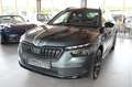 Skoda Kamiq 1.5 TSI Monte Carlo*NAVI*LED*PANO* Grau - thumbnail 1