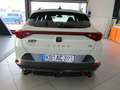 CUPRA Formentor VZ5 2.5 TSI 4Drive DSG EDITION TAIGA GREY Grau - thumbnail 5