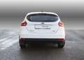 Ford Focus Titanium Weiß - thumbnail 5