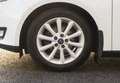 Ford Focus Titanium Weiß - thumbnail 9