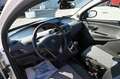 Lancia Ypsilon 1.0 FireFly 5 porte S&S Hybrid Silver Weiß - thumbnail 8