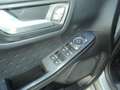 Ford Kuga 2.5 Plug In Hybrid 225 CV CVT 2WD ST-Line Grigio - thumbnail 9