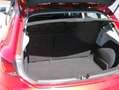SEAT Leon Style 1,6 TDI Start-Stopp Rot - thumbnail 13
