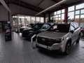 Subaru Forester 2,0ie e-Boxer Exclusive Lineatr.  Neues Modell Beige - thumbnail 1