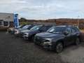 Subaru Forester 2,0ie e-Boxer Exclusive Lineatr.  Neues Modell Beige - thumbnail 3