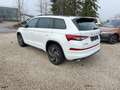 Skoda Kodiaq RS TSi DSG 4M Matrix/Pano/CarPlay/ACC/AHK Weiß - thumbnail 5