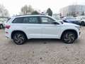 Skoda Kodiaq RS TSi DSG 4M Matrix/Pano/CarPlay/ACC/AHK Weiß - thumbnail 8