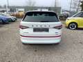 Skoda Kodiaq RS TSi DSG 4M Matrix/Pano/CarPlay/ACC/AHK Weiß - thumbnail 6