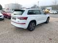 Skoda Kodiaq RS TSi DSG 4M Matrix/Pano/CarPlay/ACC/AHK Weiß - thumbnail 7