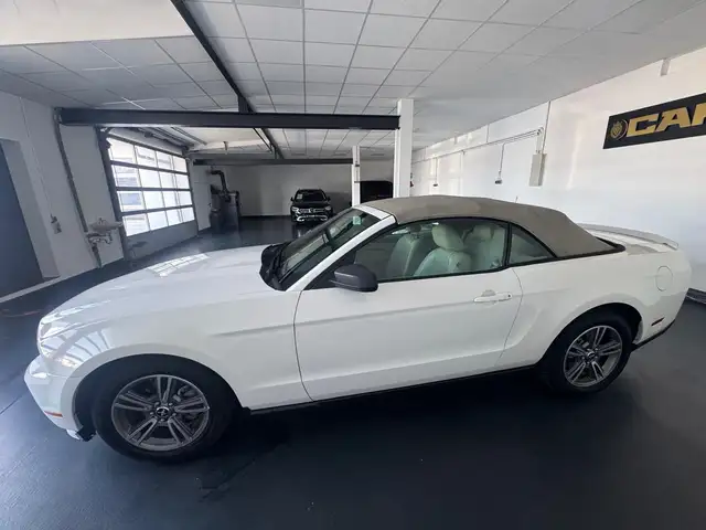 Ford Mustang view 14