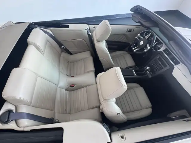 Ford Mustang view 10