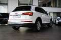 Audi Q5 40 TDI QU. SPORT ADVANCED B&O/STHZG/PANO./LED Weiß - thumbnail 16