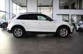 Audi Q5 40 TDI QU. SPORT ADVANCED B&O/STHZG/PANO./LED Weiß - thumbnail 12
