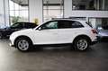 Audi Q5 40 TDI QU. SPORT ADVANCED B&O/STHZG/PANO./LED Weiß - thumbnail 4