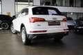 Audi Q5 40 TDI QU. SPORT ADVANCED B&O/STHZG/PANO./LED Weiß - thumbnail 6