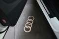 Audi Q5 40 TDI QU. SPORT ADVANCED B&O/STHZG/PANO./LED Weiß - thumbnail 7