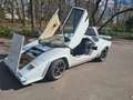 Lamborghini Countach Replika Nachbau Replica Einmaliger Umbau Weiß - thumbnail 10