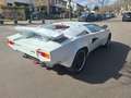 Lamborghini Countach Replika Nachbau Replica Einmaliger Umbau Weiß - thumbnail 4