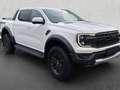 Ford Ranger Raptor Ranger Raptor 2.0 ecoblue 210cv auto Bianco - thumbnail 3