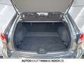 Mazda 6 2.5 SKYACTIV-G 194 FWD 5T AG Homura Sunr AHK Grau - thumbnail 14