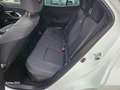 Toyota Yaris Cross YARIS CROSS HYBRID RITIRO USATO/SCAMBIO/NOLEGGIO Bianco - thumbnail 12