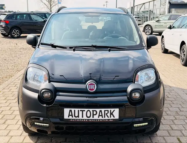 Fiat Panda view 2