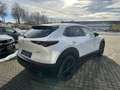 Mazda CX-30 2.5L e-SKYACTIV G 140ps 6AT FWD Nagisa Wit - thumbnail 15