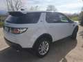 Land Rover Discovery Sport 2.0 td4 SE awd 150cv auto my18 - thumbnail 1