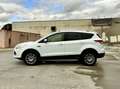 Ford Kuga 2.0 TDCI 140CH FAP TITANIUM 4X4 POWERSHIFT Weiß - thumbnail 8