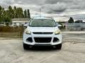 Ford Kuga 2.0 TDCI 140CH FAP TITANIUM 4X4 POWERSHIFT Weiß - thumbnail 7