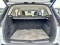 Ford Kuga 2.0 TDCI 140CH FAP TITANIUM 4X4 POWERSHIFT Weiß - thumbnail 18