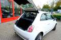 Fiat 500 0.9 TwinAir Turbo Cult Pano|Leder|Clima|PDC Wit - thumbnail 9