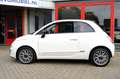 Fiat 500 0.9 TwinAir Turbo Cult Pano|Leder|Clima|PDC Wit - thumbnail 24