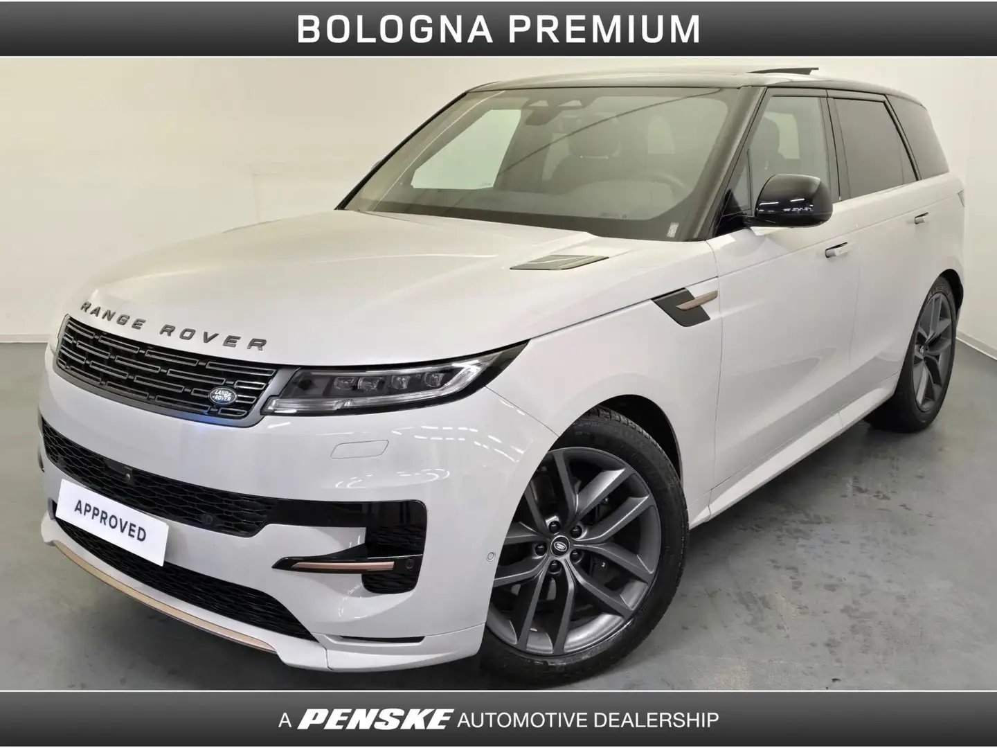 Land Rover Range Rover Sport Range Rover Sport 3.0D l6 249 CV Dynamic SE Grigio - 1