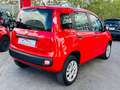 Fiat Panda 0.9 t.air t. natural power 70cv PRONTA CONSEGNA Rosso - thumbnail 3