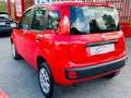 Fiat Panda 0.9 t.air t. natural power 70cv PRONTA CONSEGNA Rosso - thumbnail 4