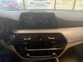 BMW 530 530d xDrive 249CV Luxury Blau - thumbnail 9