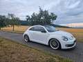 Volkswagen Beetle Beetle 1,2 TSI Club Club Weiß - thumbnail 2